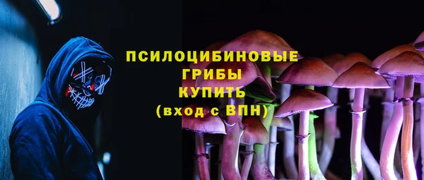 соль ск Дмитровск