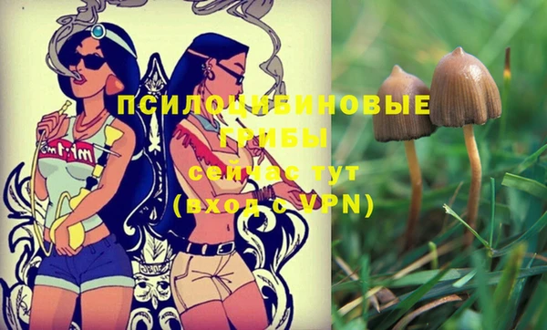 меф Дмитриев