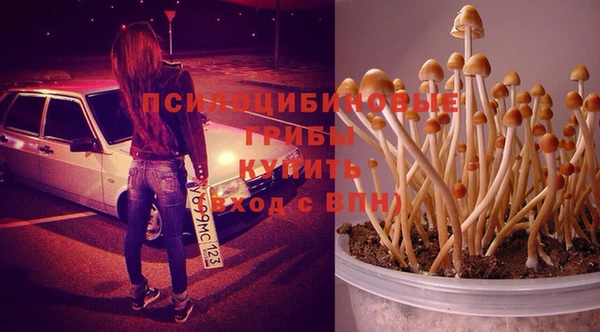 меф Дмитриев