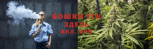соль ск Дмитровск