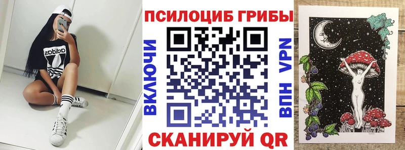 Купить где  Воронеж  Галлюциногенные грибы Cubensis 